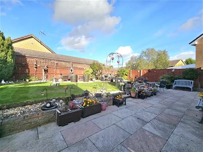 Picture 24